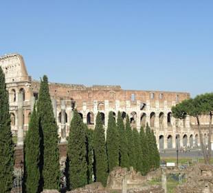 Vom Forum aus gesehen