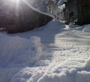 Wandern Hermagor - Pressegger See