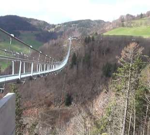 Blackforestline Hängebrücke