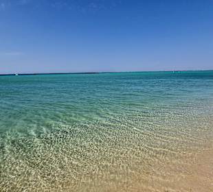 Orange Bay Delfin Tour und Schnorcheln 