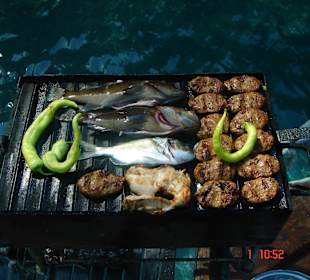 Mittagsessen, Fisch, Fleisch, Hänchen mit Salat