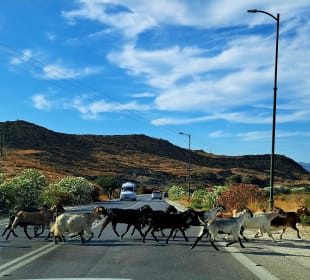 Stadtrundgang Marmari