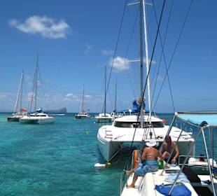 Die anderen Katamarane