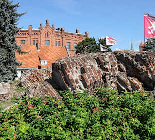 Ruiny Zamku Krzyżackiego