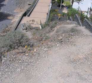 Aufgang von der Promenade