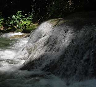 Mayfield Falls Flusswanderung
