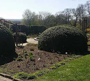 Frühling im Westfalenpark Dortmund