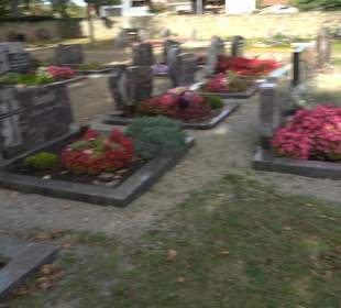 Friedhof Weitingen im Gäu