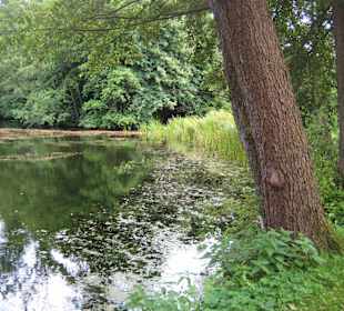 Mühlenhof Klein Rönnau/Bad Segeberg