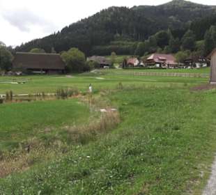 Schlössle von Effringen