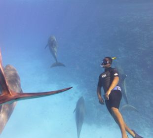 Der Delfinflüsterer :-)