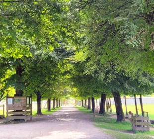 Allee nach dem Eingang
