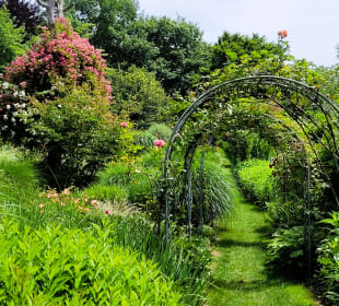 Beginn des Naturgartens