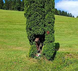Marterl im Baum