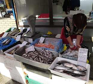 Frischer Fisch