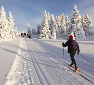 Ski - area Mariánské Lázně