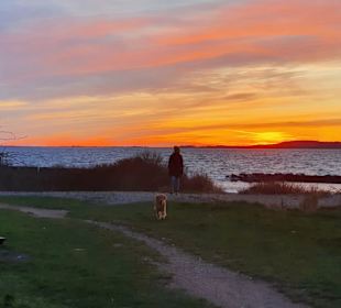 Wandern Dranske auf Rügen