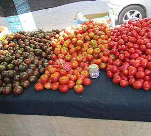 Santa Maria del Cami