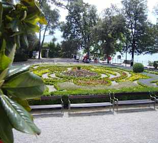 Diesen Garten muss man gesehen haben !