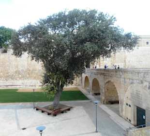 Mdina Gate