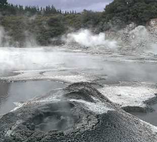 Thermal activity - boiling sulphur water