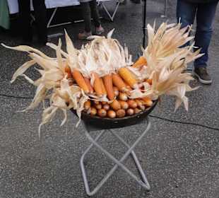 Biologisches Erntefest 2015