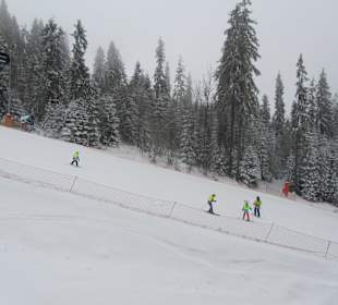 Wyciąg Kotelnica III - widok na czerwoną trasę