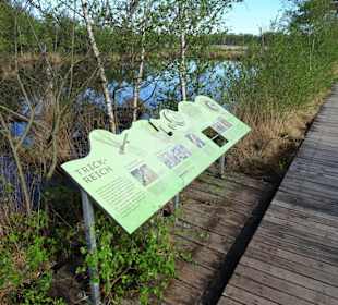 Infotafel am Bohlenweg durch das Pietzmoor