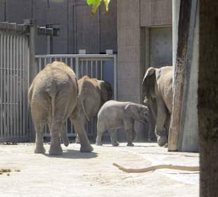 Passen auf den Kleinen auf