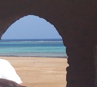 Fahrradausflug in die Wüste