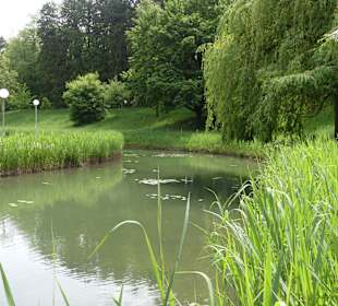 Forellenbächle