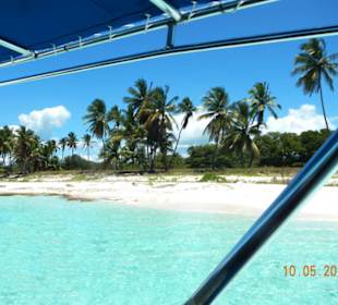 Insel Saona