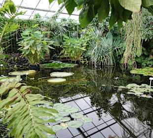 Botanischer Garten Dresden