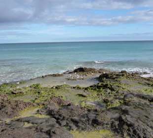 Bei Flut zurück zur Costa Calma 