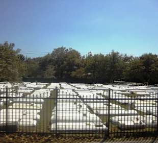 Blick auf den Friedhof