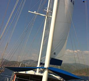 Blaue Reise - Urlaub ganz anders