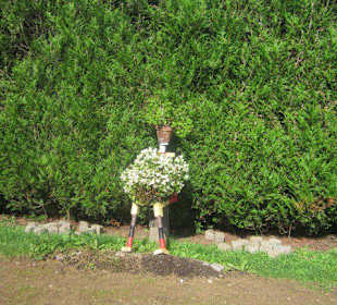 Beim Schlachtfeld in Elsasshausen