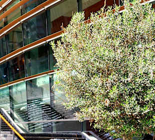 Stadtrundgang Dubai - Opera District