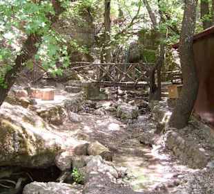 Landschaft im Schmetterlingstal