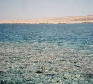 Sindbad Beach Resort