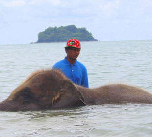 TAF Tour Elefanten Camp 