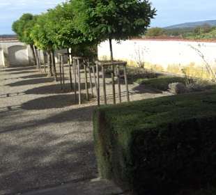 Schlossgarten Schloss Tettnang