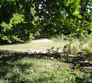 Dschungel Trekking Tour