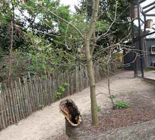 Zoologischer Stadtgarten
