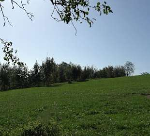 Bussen Schöpfungsweg Offingen