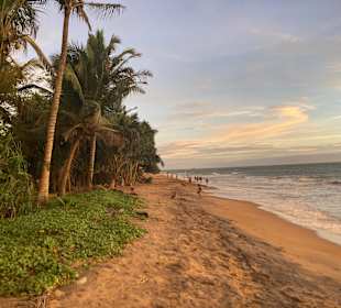 Strand Wadduwa