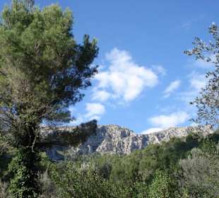 La Reseva - Parc de Natural