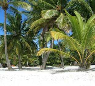 Strand Saona