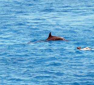 So nah kommt man mit Bakadi Tours