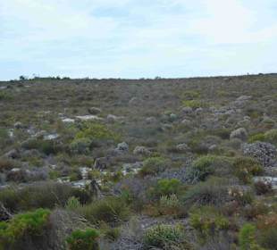 Kap der Guten Hoffnung